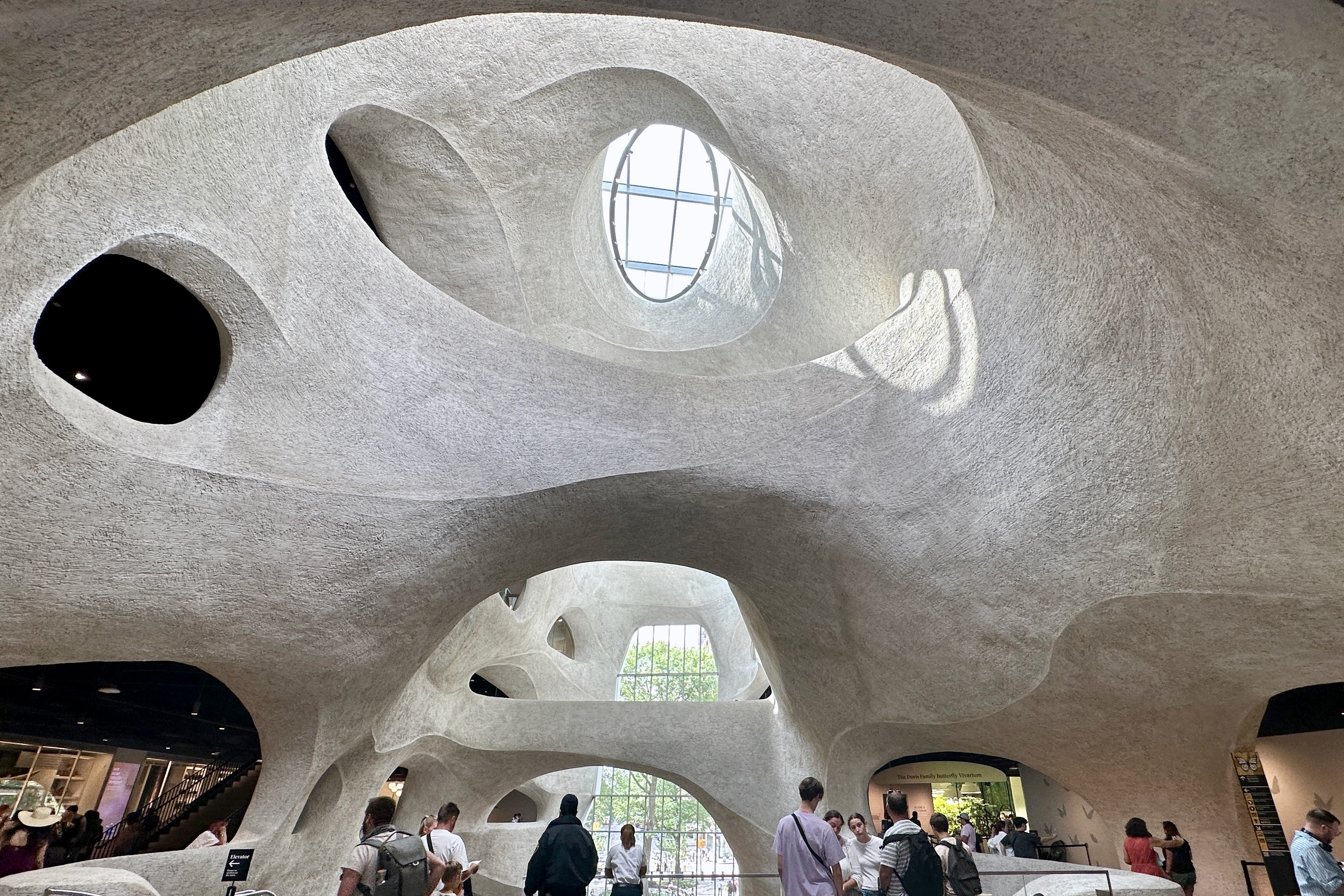 Sculptural concrete arches, bridges and skylight in the Gilder Center atrium at the American Museum of Natural History